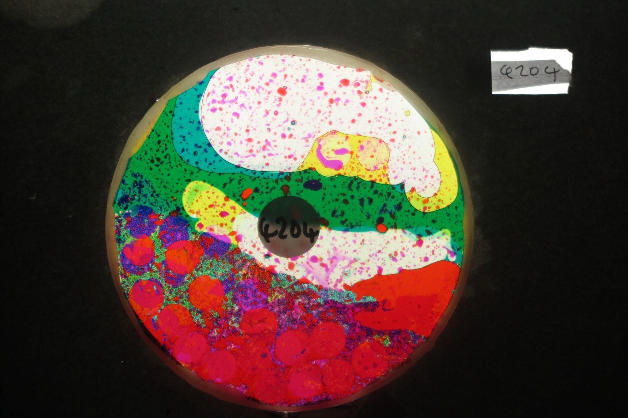 BV4204 bubble vision oil wheel